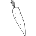 Carotte
