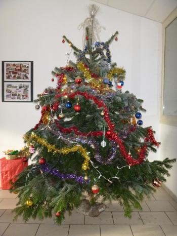 sapin
