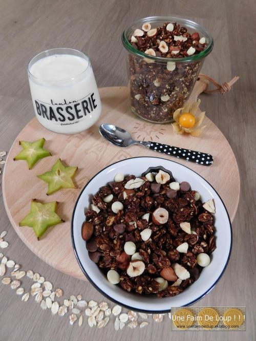  Granola au chocolat & aux pépites