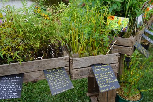 Saint Jean de Beauregard : De la terre à la table
