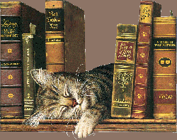 Le chat qui cassait la baraque