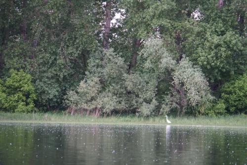 Un petit tour sur la Loire