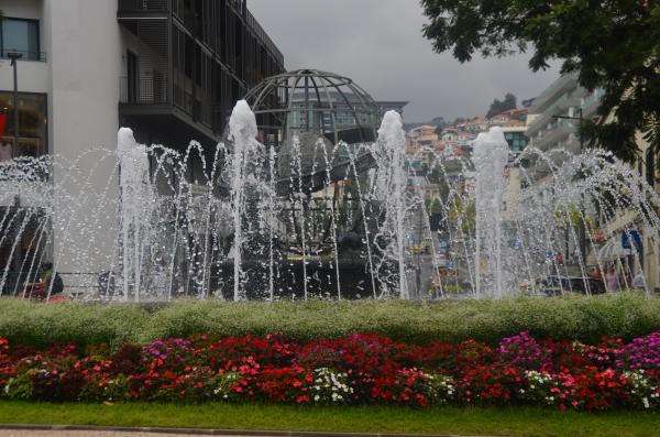Circuit en étoile à Madère : un petit tour dans Funchal