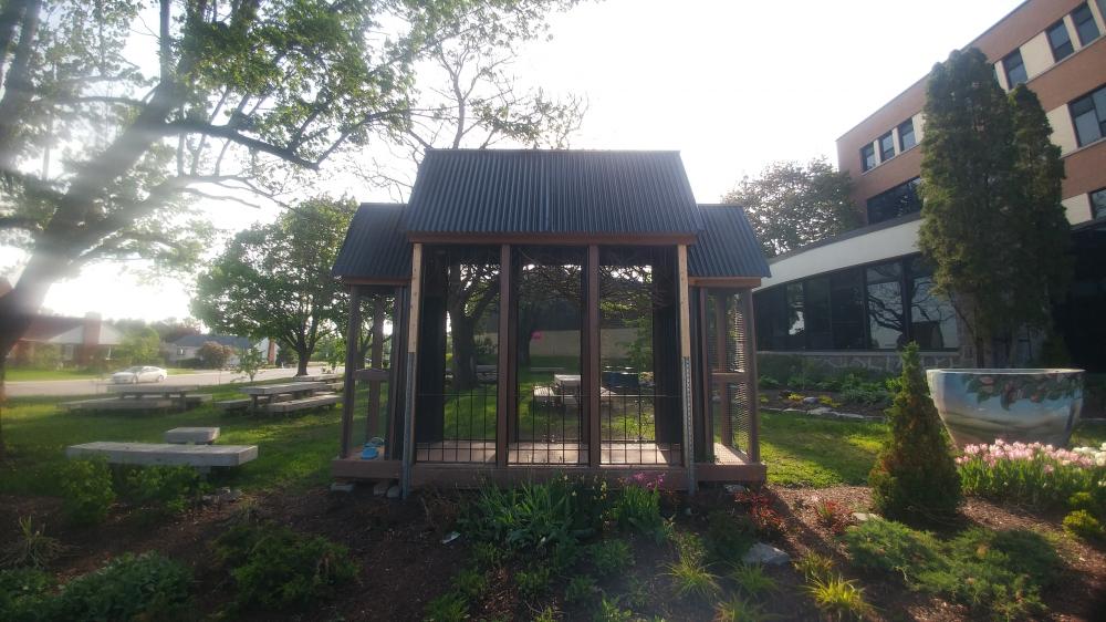 Jardin Pédagogique du Collège Nouvelles Frontières au printemps, le 20 mai 2022