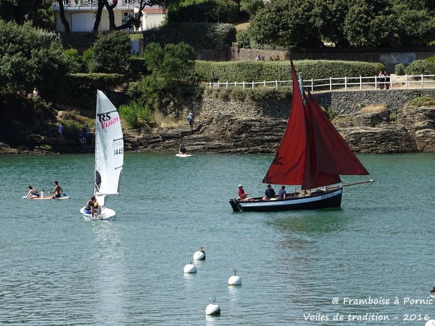 Pornic, Voiles de Tradition, 2016