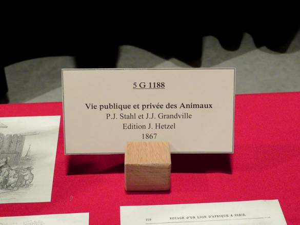 Une superbe exposition de livres de contes a eu lieu à la médiathèque Victorine de Chastenay