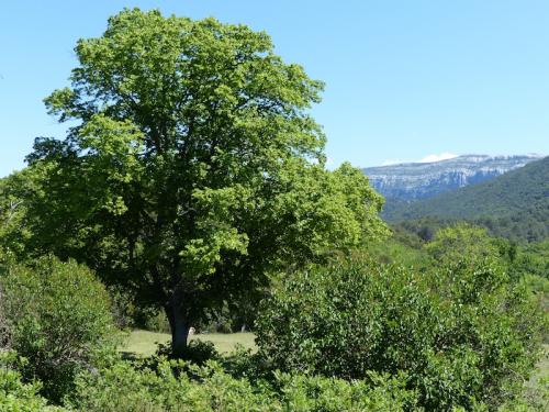 Bergerie de Peyruis par le Chambeyron