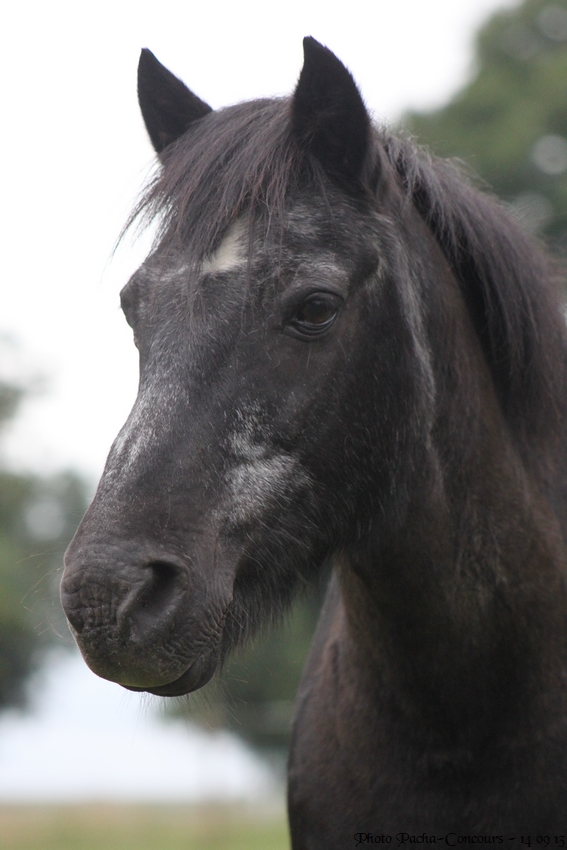 doudou & black 14/09/13