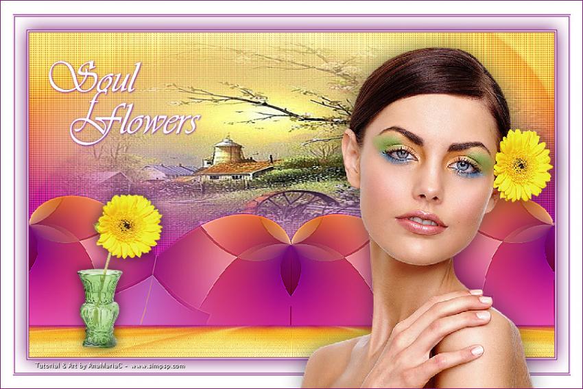 Soul of Flowers