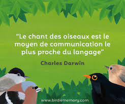 "Visites au jardin" ...