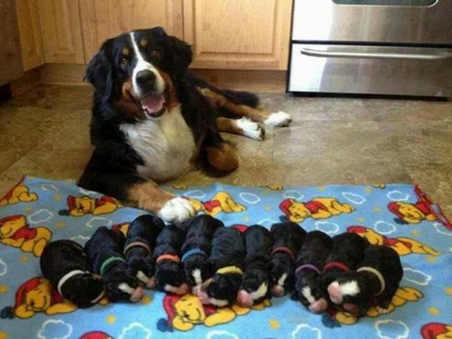 Moments de tendresse ... !!!