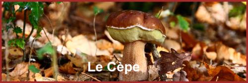 ღ꧁ღ╭⊱ꕥ   47 Lot et Garonne   ꕥ⊱╮ღ꧂ღ