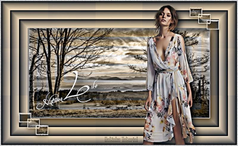 Katinka-tutorial-Nature Life