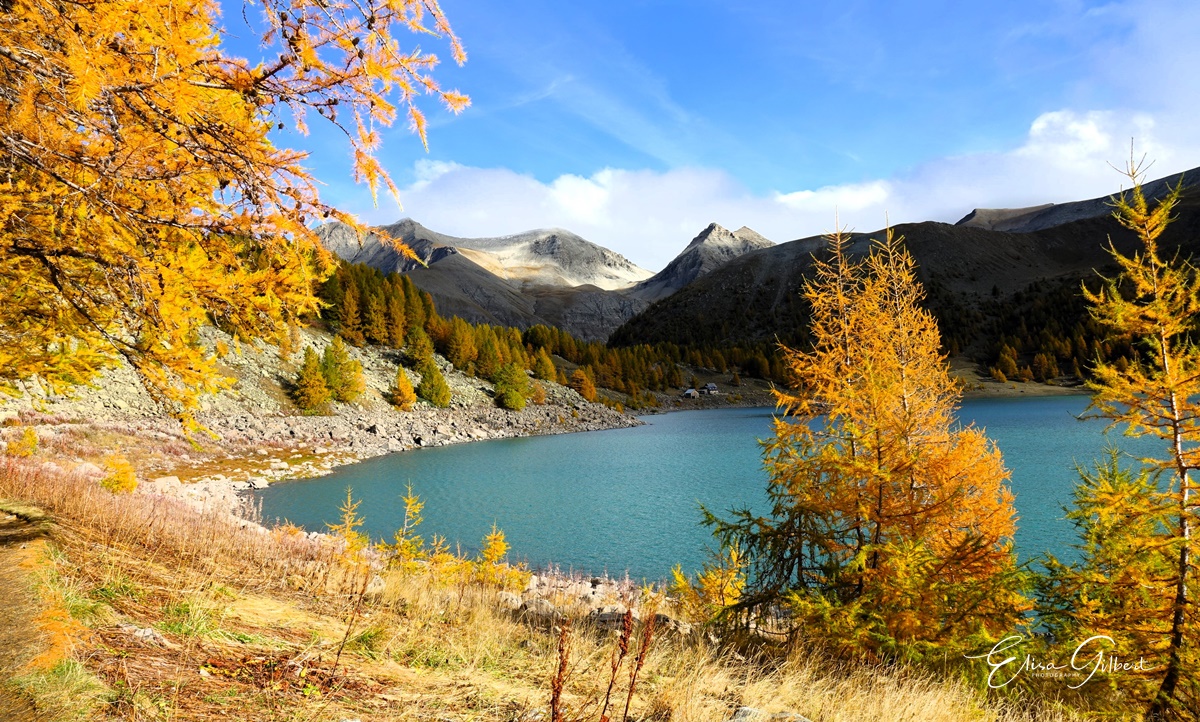 Féerie d'Automne