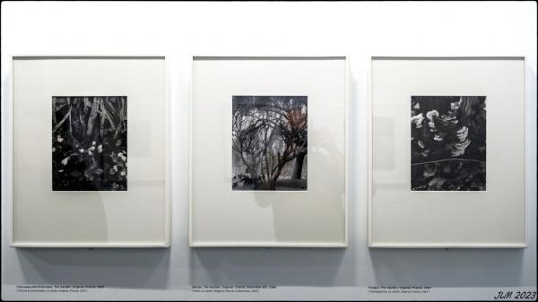 L'équilibre des forces - Paul Strand