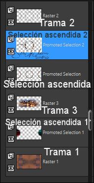 Estela