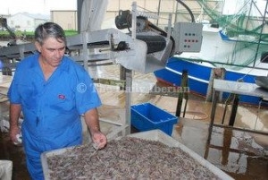 A silver lining A silver lining