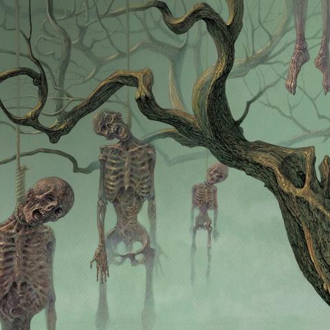 USURPRESS - Détails nouvel album