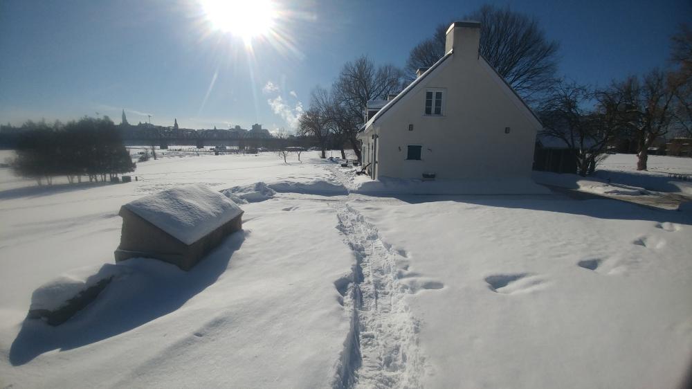 Winter Stroll Through Ottawa on January 29th 2022