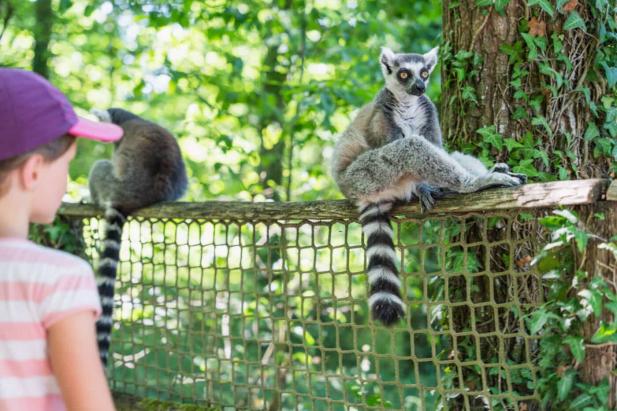 ╰⊱♥⊱╮ღ꧁ Département 86 ꧂ღ╭⊱♥≺