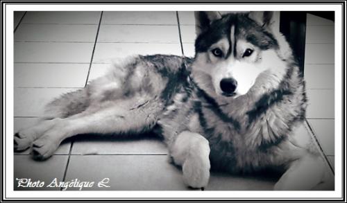 Jeska (3 ans)