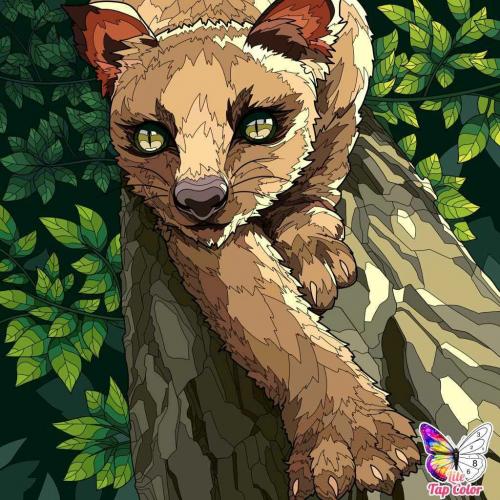 Cécile et ses coloriages numériques