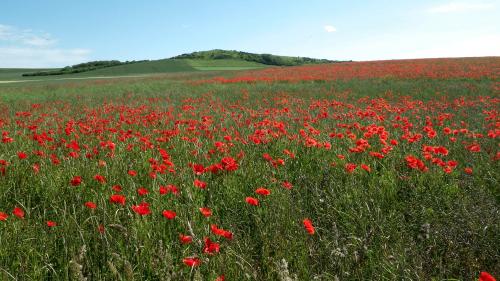 Photos de la sortie de dimanche 8/06 au mt de couple