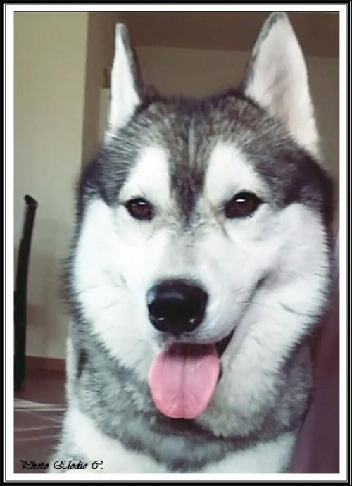 Eden (4,5 ans)