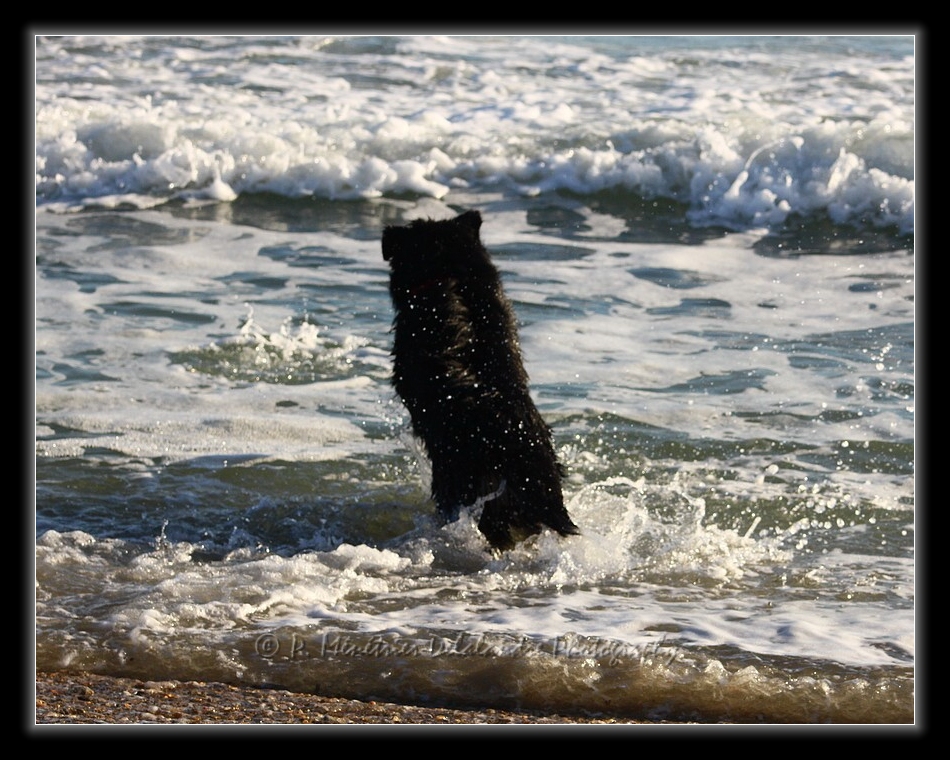 Petit tour à la mer...