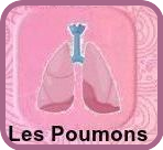 Conseils Santé