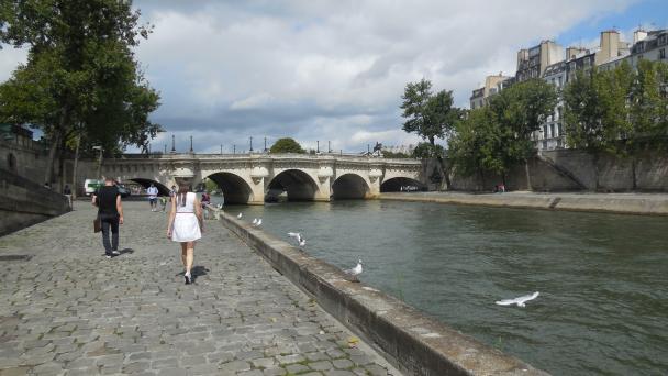 Le Pont Neuf