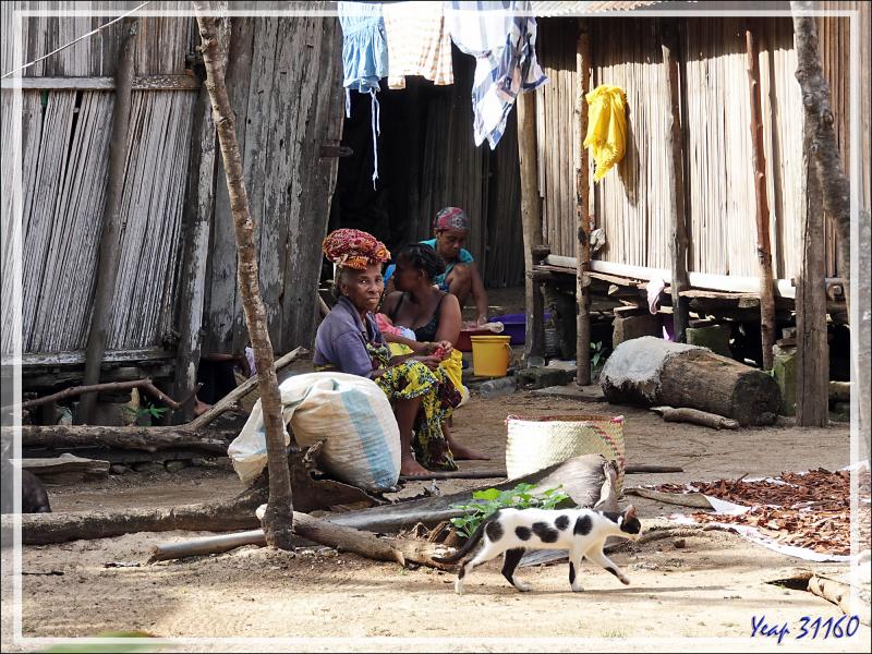 Nosy Sakatia : le paradis des chats - Madagascar