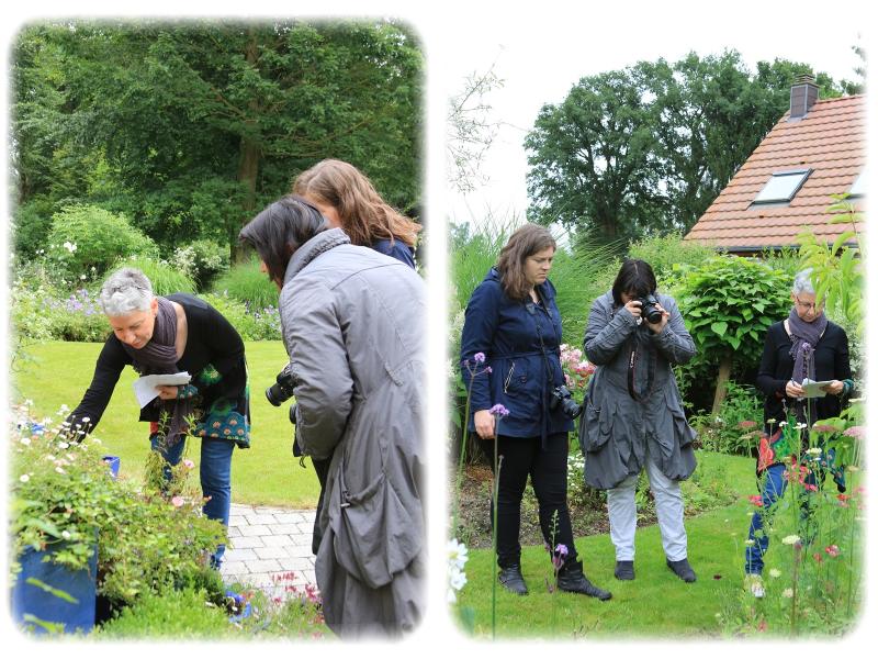Le joli jardin de Fabienne