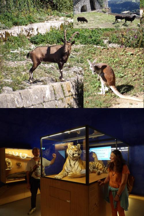 Début de la visite de Besançon (25 Doubs), séjour en camping-car