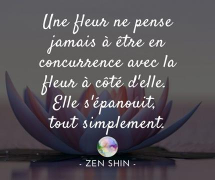 Lumineux "soucis" ... 