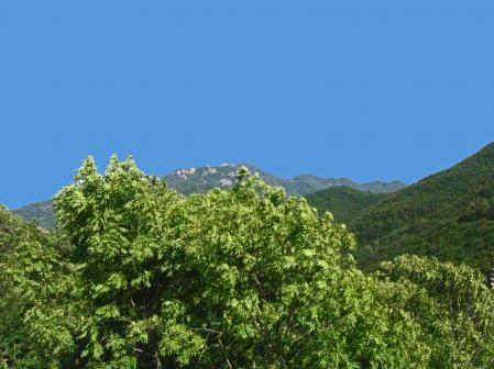 Sur les hauteurs d'une vallée âpre - Le Tour du Vallespir - Etape 4 : Prats-de-Mollo  - Notre-Dame de Coral - 9 kms.