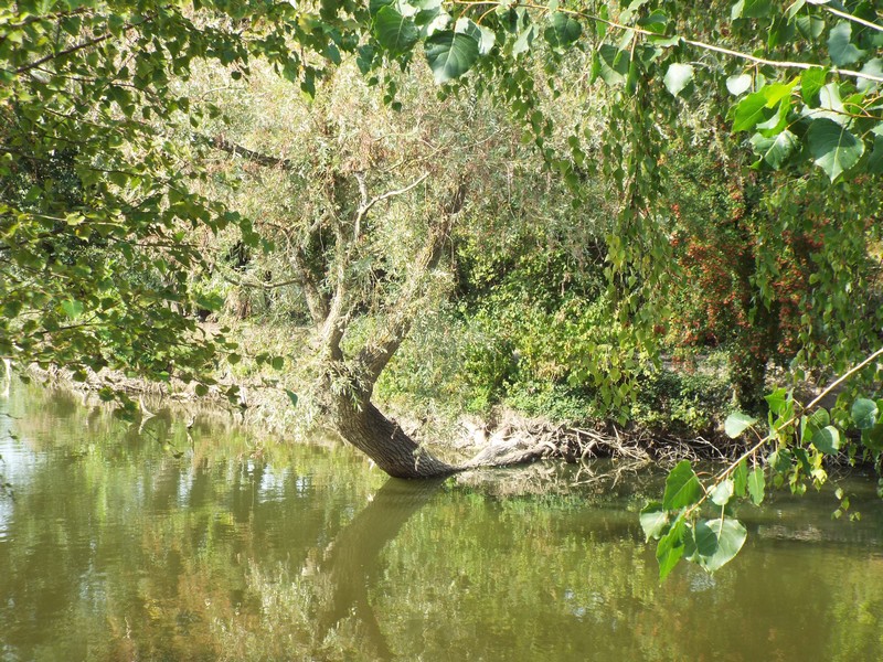 Le pêcheur ...