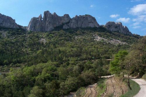 Les dentelles de Montmirail  (Vaucluse)
