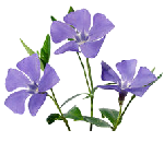 "Fleurs d'Avril" poème d'André Lemoyne