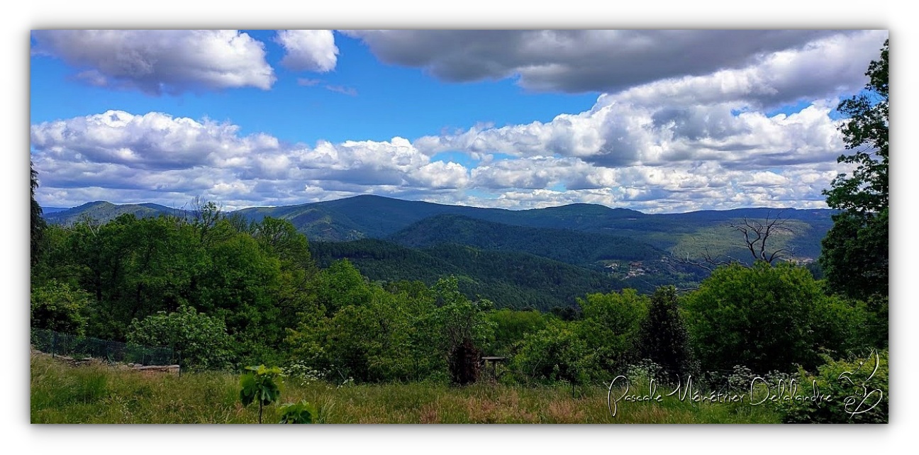 Dans le Parc National des Cévennes 