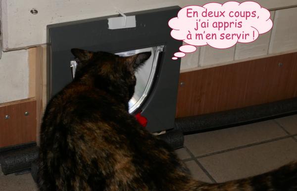 Nouvelle chatière