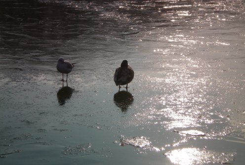 Image13.jpg