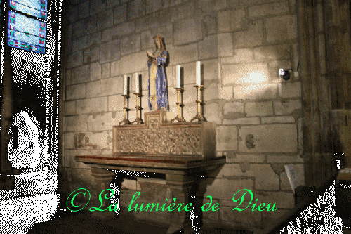 La cathédrale Notre-Dame de Paris
