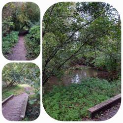 La balade du 15 octobre à Bretteville-sur-Odon