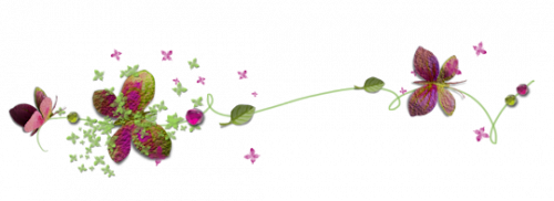 " Des fleurs fines et mousseuses comme l’écume " poème de Emile Verhaeren