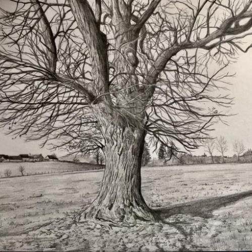 Peinture de : Jean-Luc Boudaud
