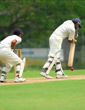 Cricket.jpg