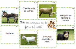 Vocabulaire - La ferme