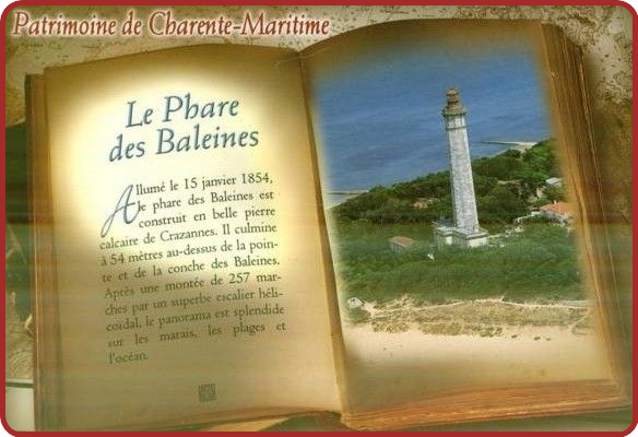 ╰⊱♥⊱╮ღ꧁   Département  17   ꧂ღ╭⊱♥≺