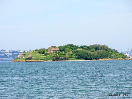 Roscanvel - Finistère 2019 
